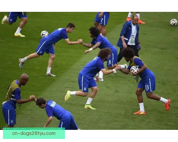 巴西6月6日战埃及世界杯前热身